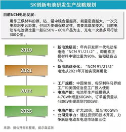5月新能源乘用車市場增速放緩，投資管理面臨新考量