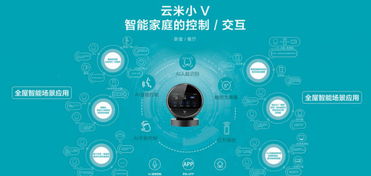 從技術(shù)追夢到商業(yè)奇跡 雷軍如何四年塑造價值43億的網(wǎng)絡(luò)技術(shù)獨角獸